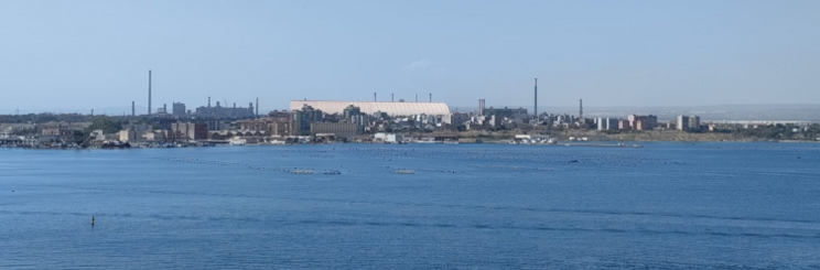 "Per salvare l'ex Ilva serve lo Stato"